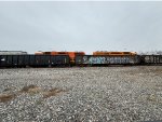 CIGX 801487